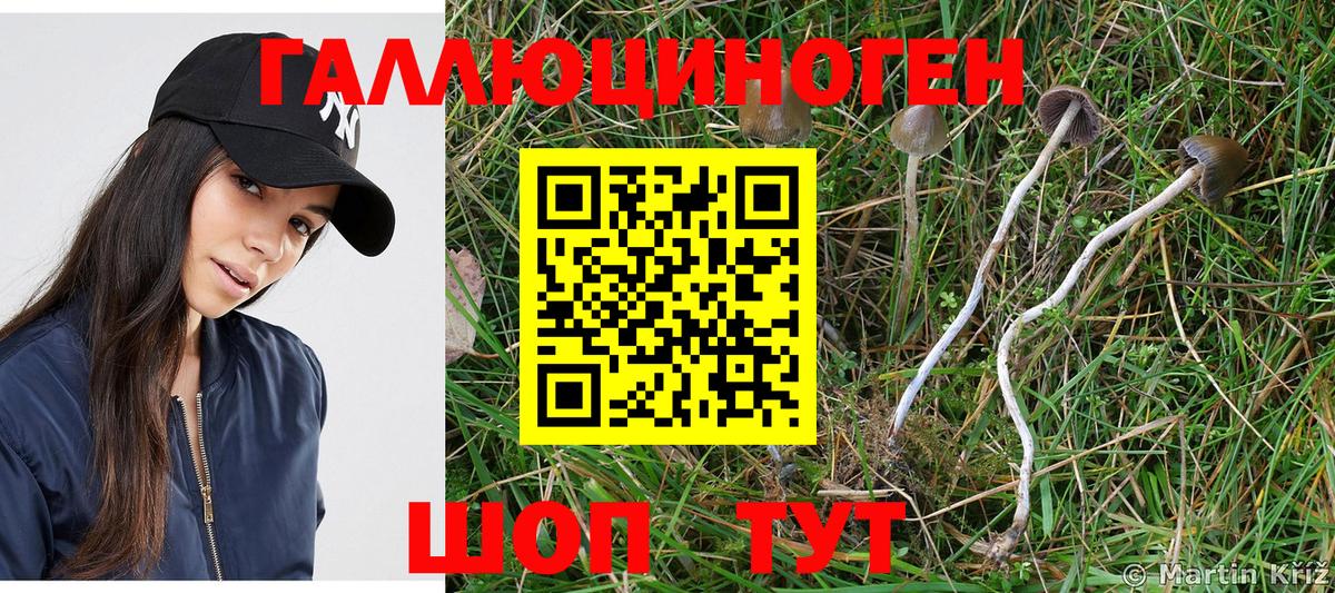 где можно купить наркотик  Псилоцибиновые грибы мухоморы  Вход с VPN  Псилоцибиновые грибы GOLDEN TEACHER  Трёхгорный 